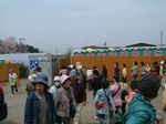 花見山2.jpg