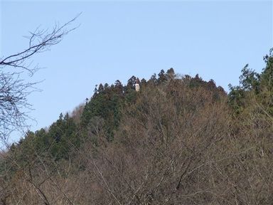 大DSCF0529.jpg