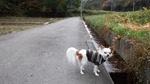 DSCF0030.jpg
