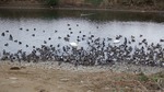 DSCF0070.jpg