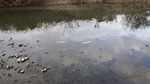 DSCF0073.jpg