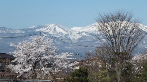 DSCF0075.jpg