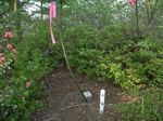 DSCF0088.jpg