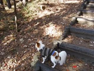 DSCF0100.jpg