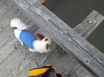 DSCF0137.jpg