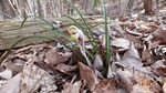 DSCF0193.jpg