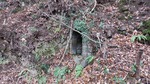 DSCF0205.jpg