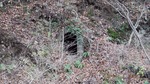 DSCF0206.jpg