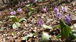 DSCF0212.jpg