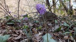 DSCF0225.jpg