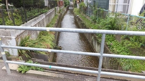 DSCF0227.jpg
