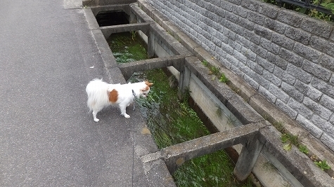 DSCF0229.jpg