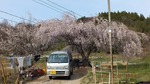 DSCF0265.jpg