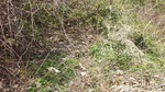 DSCF0266.jpg