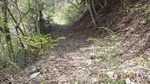 DSCF0267.jpg