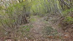 DSCF0269.jpg