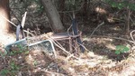 DSCF0272.jpg