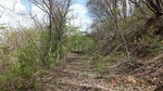 DSCF0276.jpg