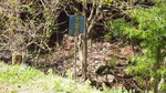DSCF0289.jpg