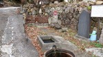 DSCF0294.jpg