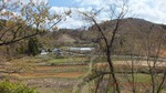 DSCF0294.jpg