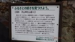DSCF0295.jpg