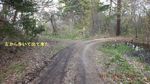 DSCF0297.jpg