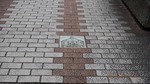 DSCF0300.jpg