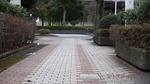 DSCF0301.jpg