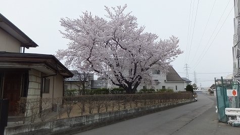 DSCF0316.jpg