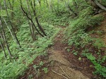DSCF0322.jpg