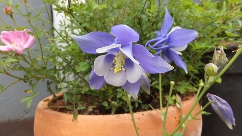 DSCF0327.jpg