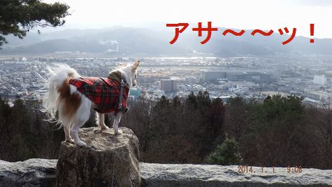 DSCF0329.jpg