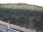 DSCF0344.jpg