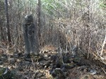 DSCF0351.jpg