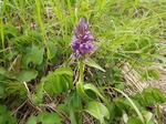 DSCF0359.jpg
