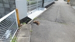 DSCF0361.jpg
