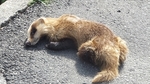 DSCF0362.jpg