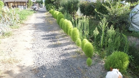 DSCF0381.jpg