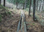 DSCF0395.jpg