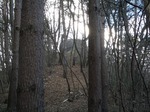 DSCF0388.jpg