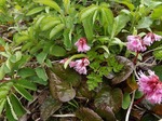 DSCF0409.jpg