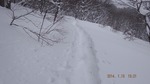 DSCF0428.jpg