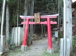DSCF0428.jpg