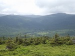 DSCF0452.jpg