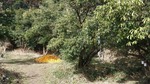 DSCF0468.jpg