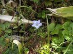 DSCF0477.jpg