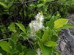 DSCF0491.jpg