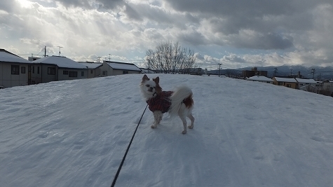 DSCF0493.jpg