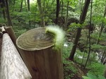 DSCF0504.jpg